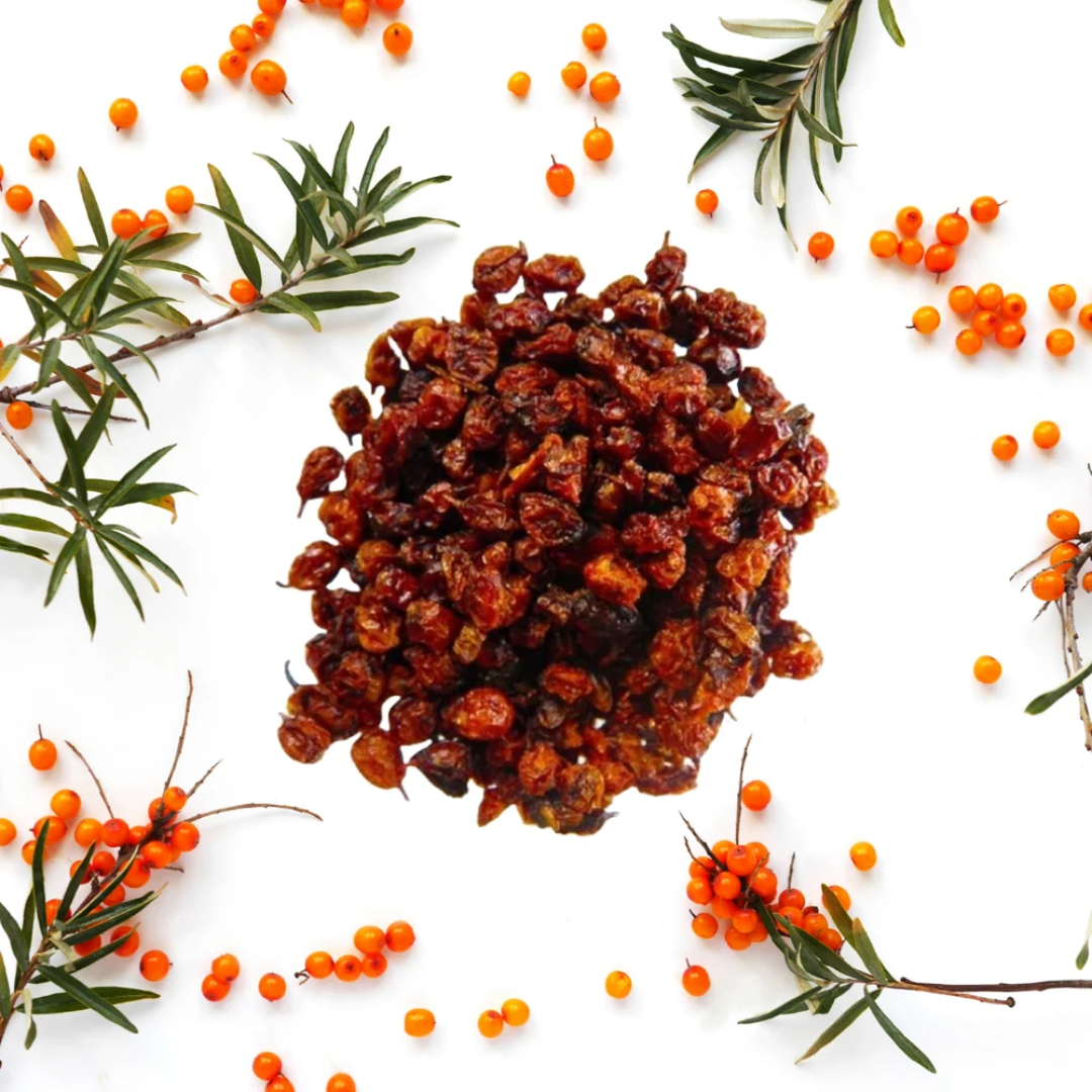 Wholesale A Grade Sun Dried Sea Buckthorn Berries – United Arab Emirates